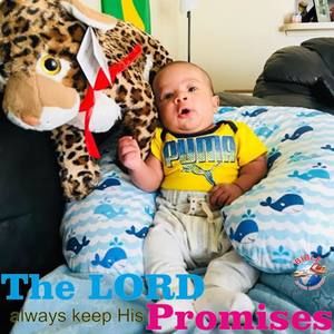 Meet your Posher, Laing